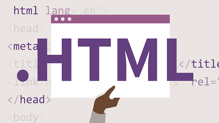 您应该遵循的HTML最佳做法